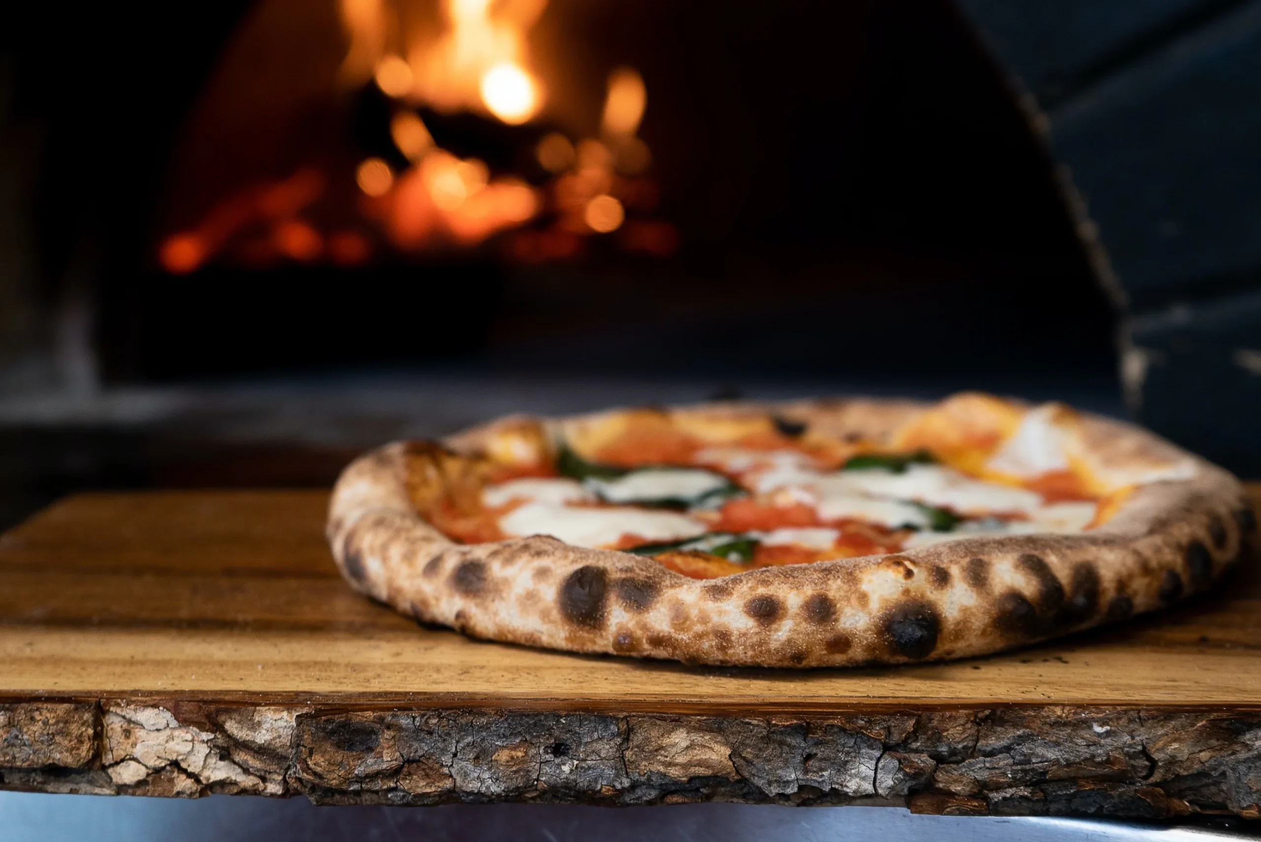 The-Best-Pizza-Dough-Recipe-for-A-Wood-Fired-Pizza-Oven Baneberry TN and Douglas Lake<br />